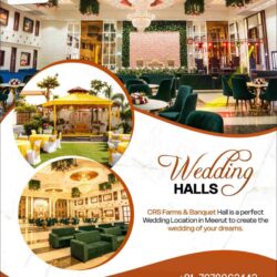 Wedding Halls in Meerut