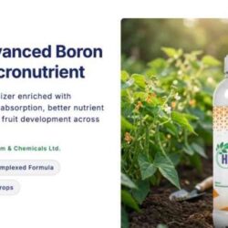 HG Boro 10 - Boron Ethanolamine Liquid Fertilizer