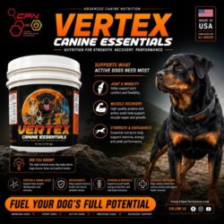 Joint Support for Dogs _ Hip & Joint Supplements – K9 Performance