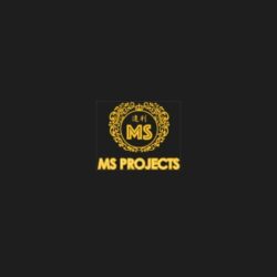 msprojects 400