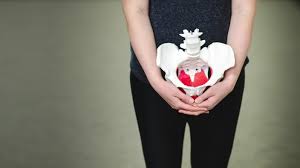 pelvic floor physiotherapy pelvic floor physiotherapy