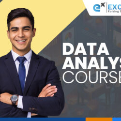 Data Analyst Course Delhi
