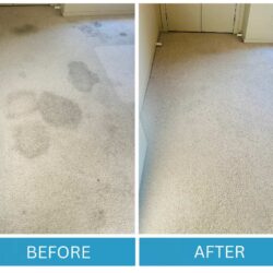 Inverclean4