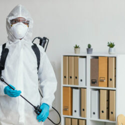 pest control 2 (1)