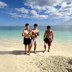 swim with pigs in freeport, bahamas