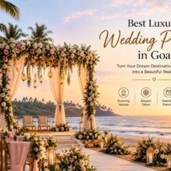 Luxury Goa Beach Wedding Setup