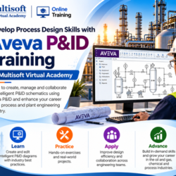 Develop Process Design Skills with Aveva P&ID Training at Multisoft Virtual Academy (1)