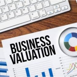 Business Valuation For Sale