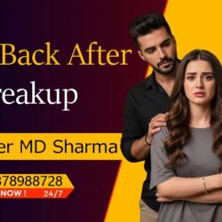 Love Back After -Breakup