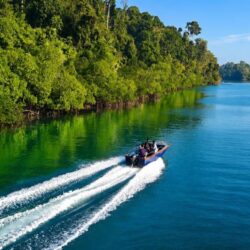 baratang-mangrove-boat-ride-andaman-2