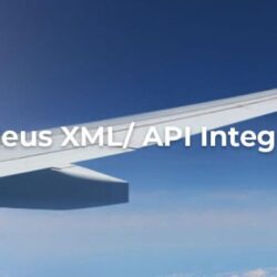 Amadeus API Integration