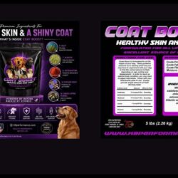 Omega-3 for Dogs_ Benefits for Skin, Coat & Joint Health – K9 Performance