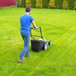 Lawn-mowing