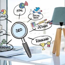 organic seo