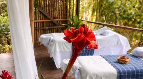 massage-in-the-heart massage-in-the-heart