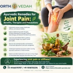 Ayurvedic Remedies for Joint Pain Benefits, Therapies and Precautions